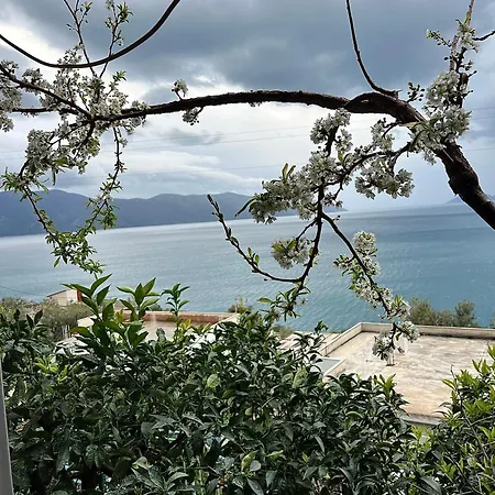 My House Πανσιόν